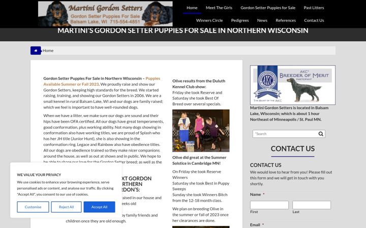 Screenshot of martinigordonsetters.com