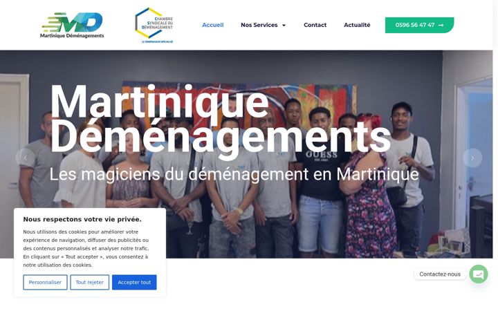Screenshot of martinique-demenagements.fr