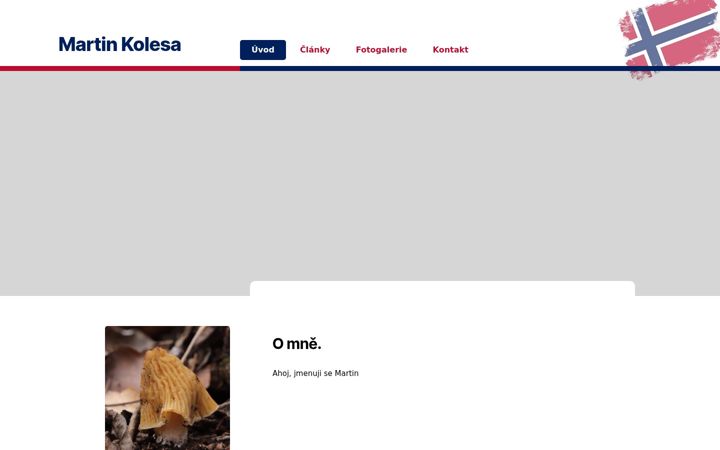Screenshot of martinkolesa.cz