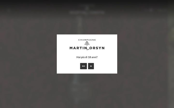 Screenshot of martinorsyn.it