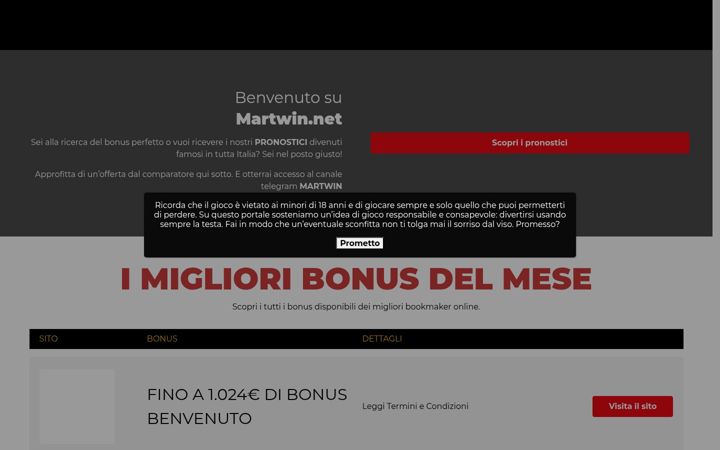 Screenshot of martwin.net