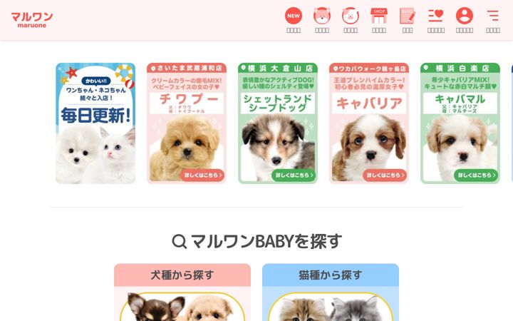 Screenshot of maruone.com