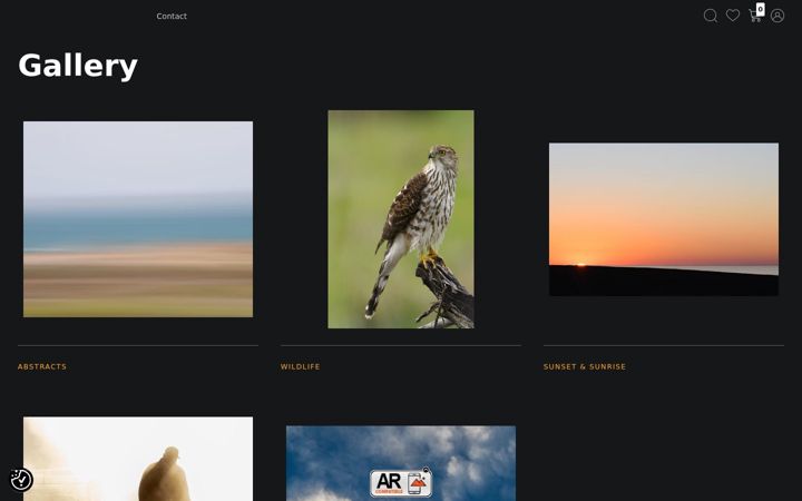 Screenshot of marydussellphoto.com