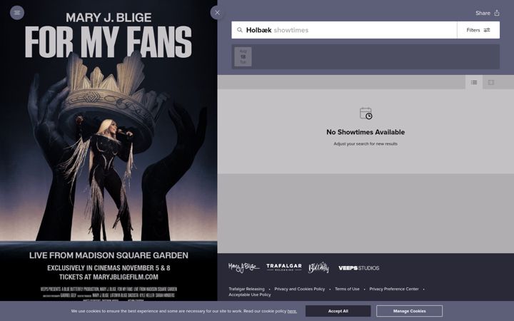 Screenshot of maryjbligefilm.com