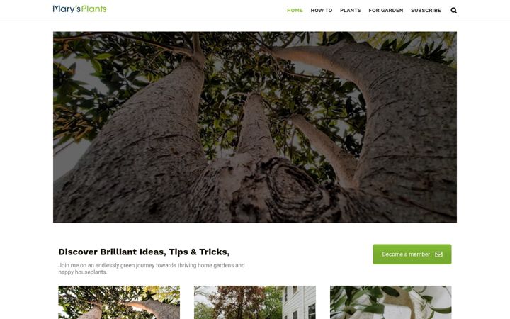Screenshot of marysplants.com