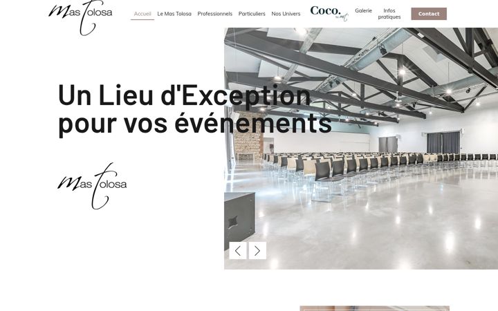 Screenshot of mas-tolosa.fr
