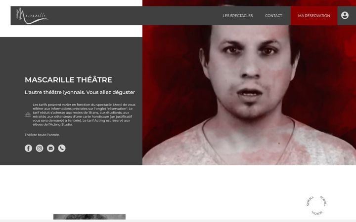 Screenshot of mascarille-lyon.com