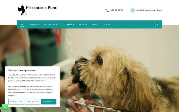 Screenshot of mascotesapunt.com