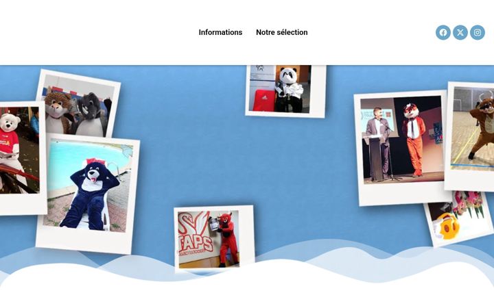 Screenshot of mascotte-discount.com