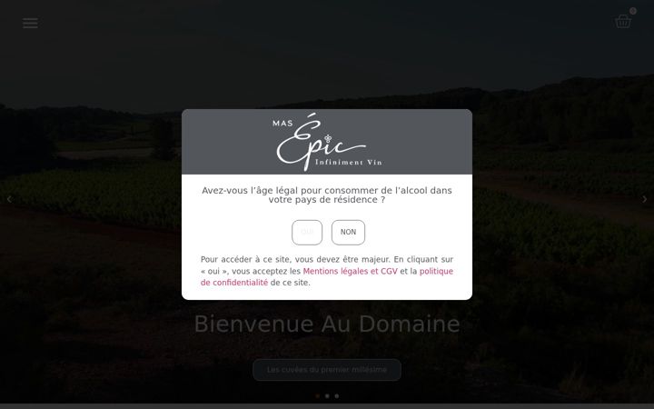 Screenshot of masepic.com