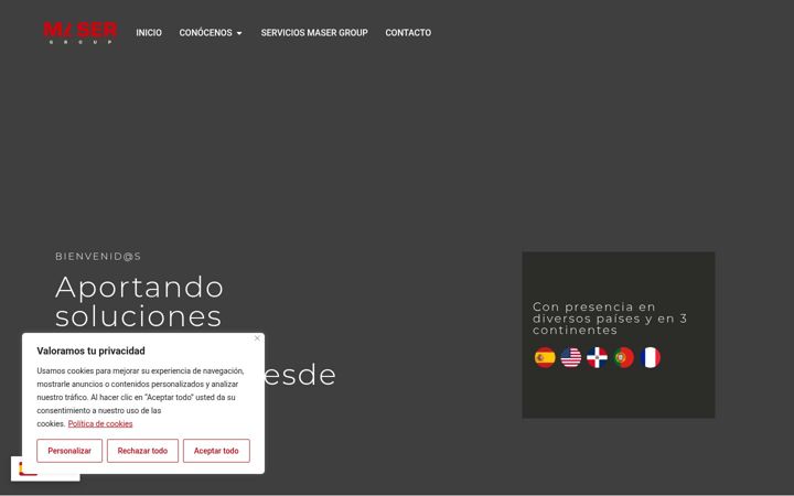 Screenshot of maser-group.com