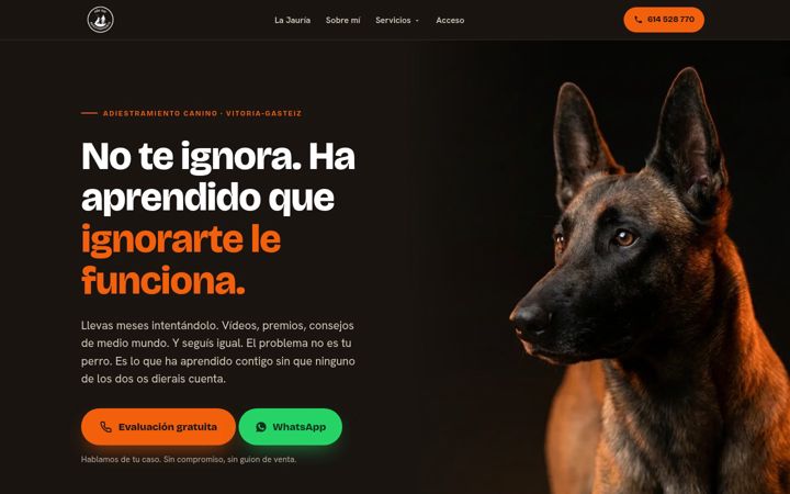 Screenshot of masqueadiestramiento.com