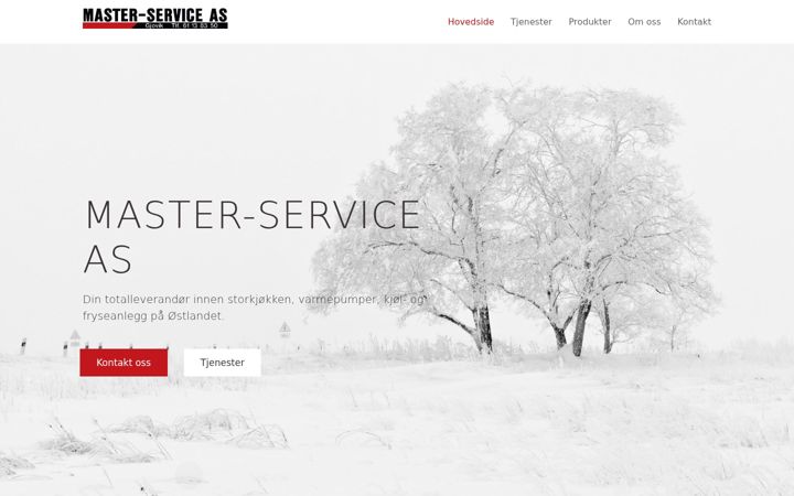 Screenshot of master-service.no