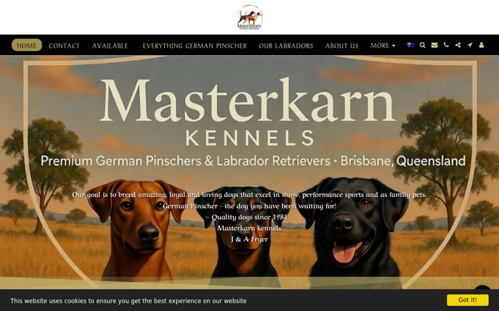 Screenshot of masterkarn.net