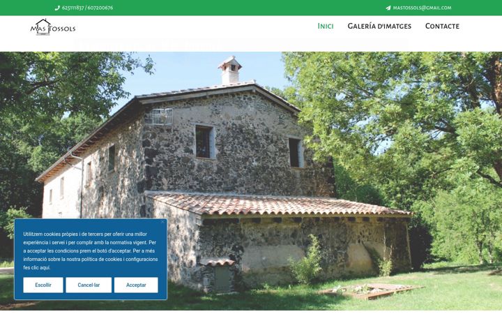 Screenshot of mastossols.com