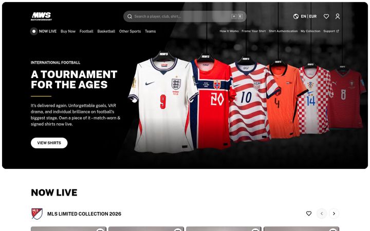 Zrzut ekranu matchwornshirt.com