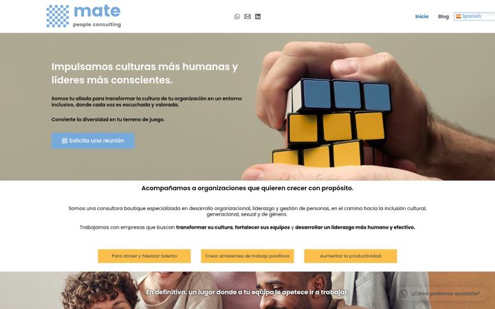 Screenshot of mateconsulting.es