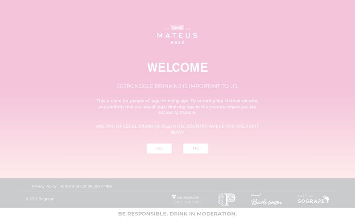 Screenshot of mateusrose.com