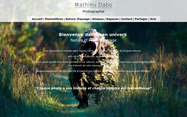 Screenshot of mathieudabo.com