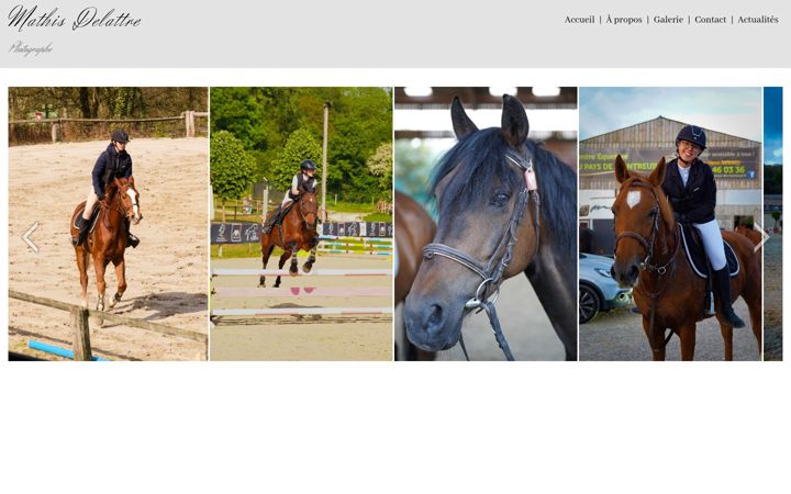 Screenshot of mathisdelattre.com