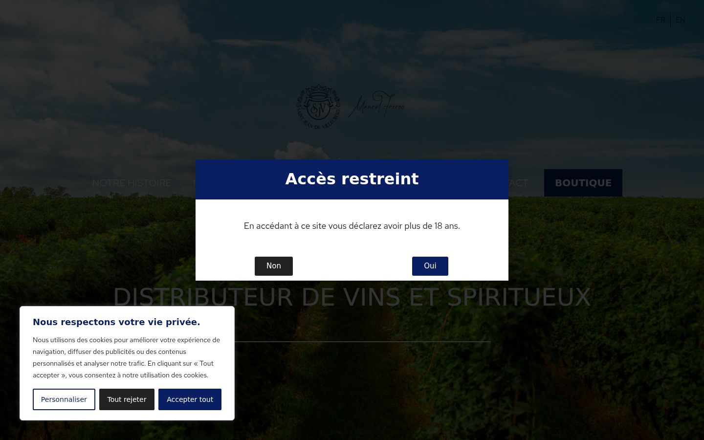 Snímek obrazovky baneru souhlasu zobrazeného před jakoukoli interakcí