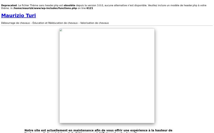 Screenshot of maurizioturi.com