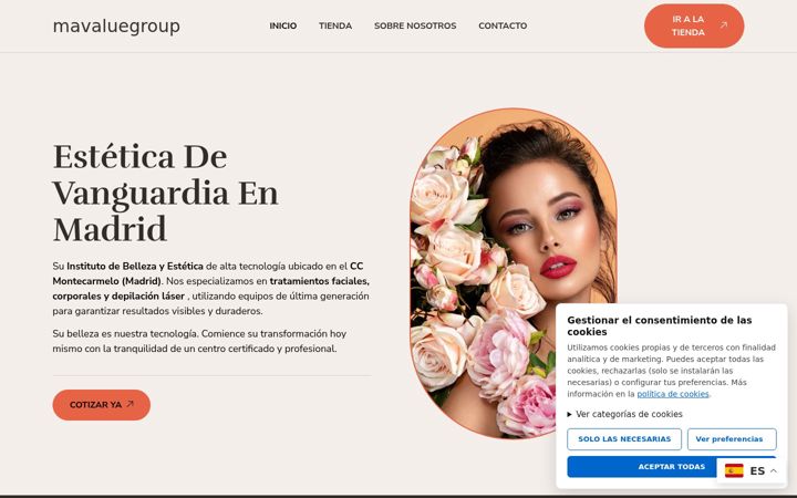 Screenshot of mavaluegroup.com