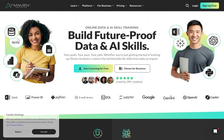Captura de pantalla de mavenanalytics.io