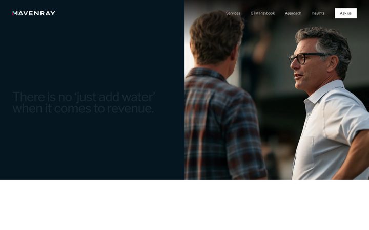 Screenshot of mavenray.com