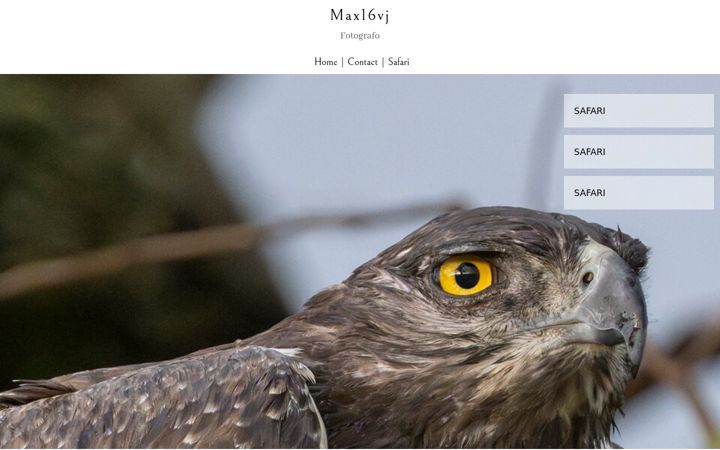 Screenshot of max16vj.com