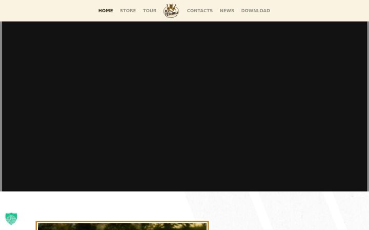 Screenshot of maxandveronica.com