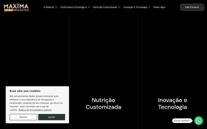 Screenshot of maximaagronegocios.com.br