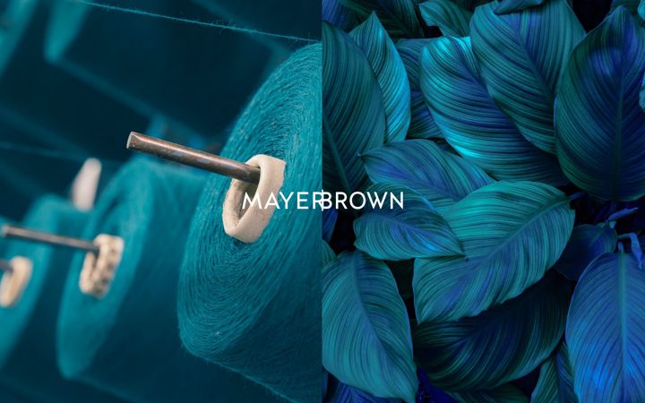 Skjermbilde av mayerbrown.com