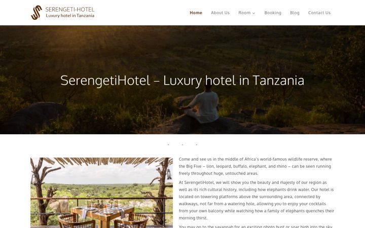 Screenshot of mbalageti.com