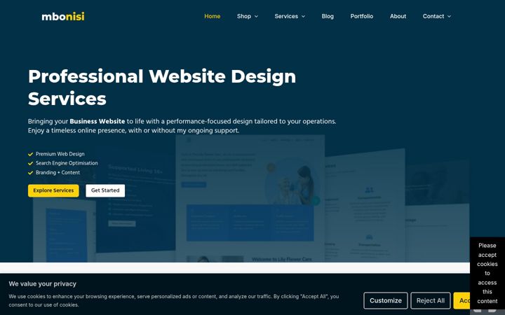 Screenshot of mbonisi.com