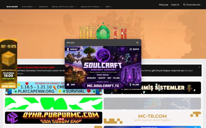 Screenshot of mc-tr.com
