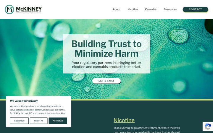 Screenshot of mckinneyrsa.com