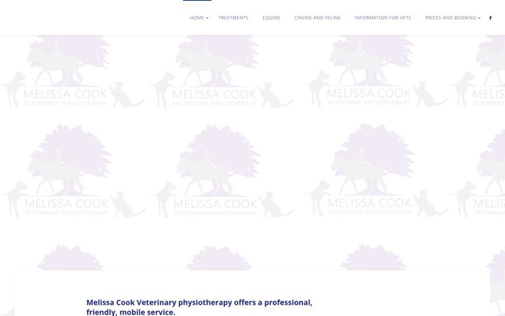 Screenshot of mcookvetphysio.com