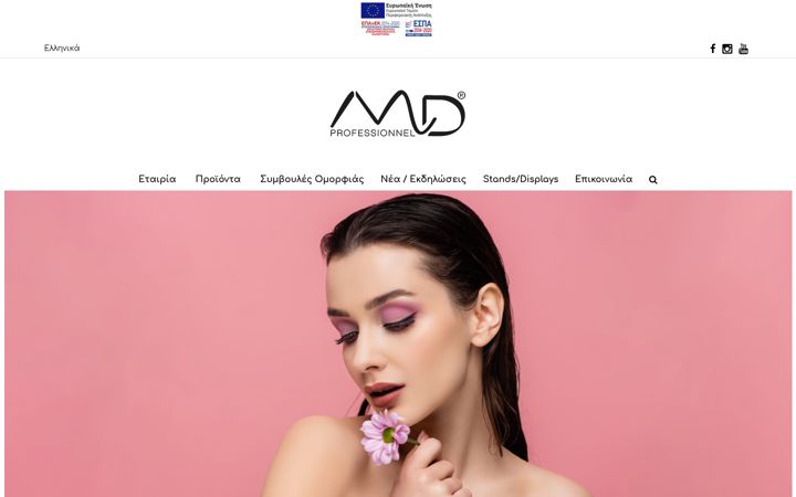 Screenshot of mdprofessionnel.com
