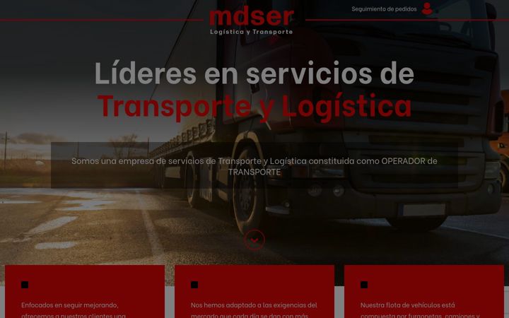 Screenshot of mdser.com