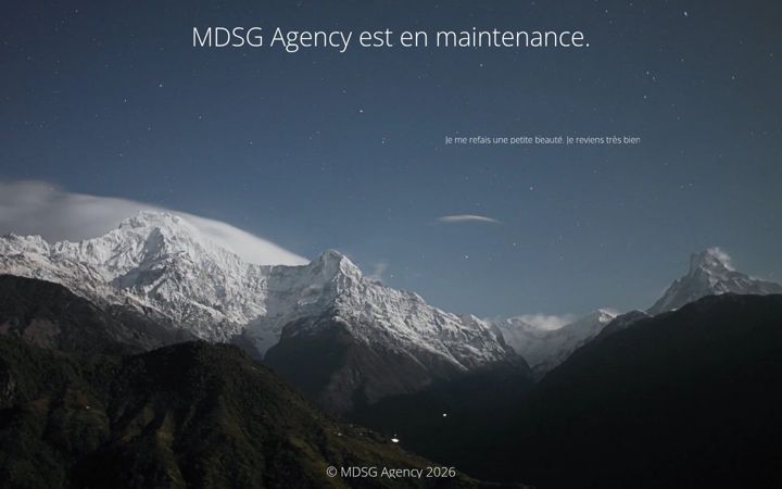 Screenshot of mdsgagency.com