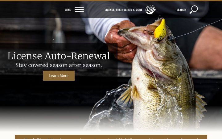 Screenshot of mdwfp.com