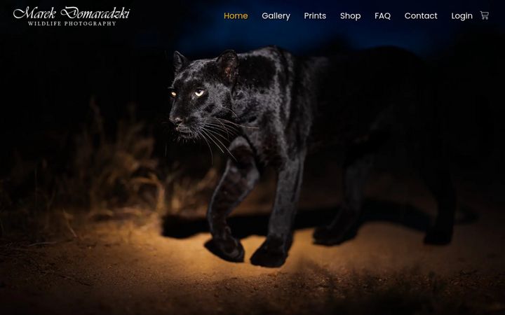 Screenshot of mdwildlifephotography.com
