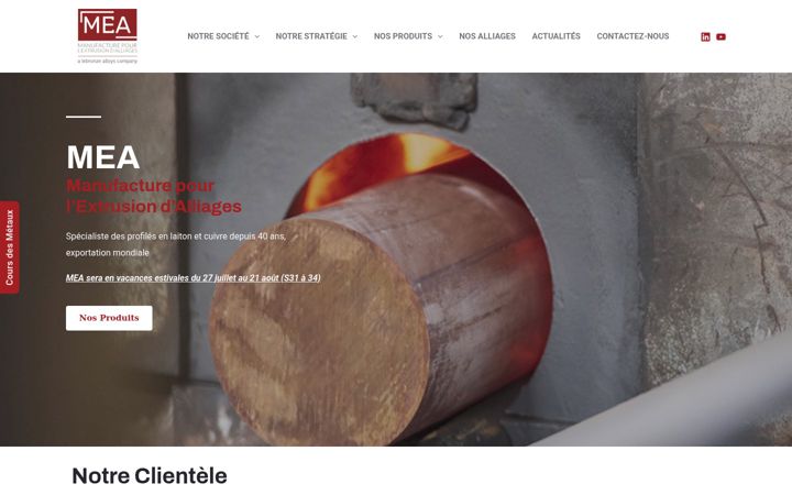 Screenshot of mea-net.com