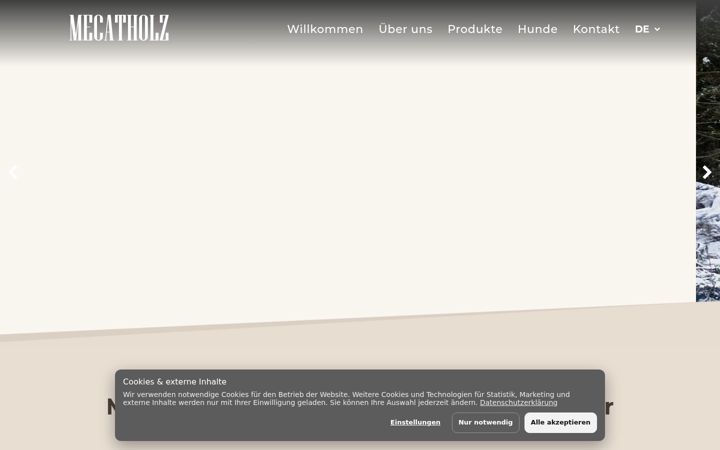 Screenshot of mecatholz.com