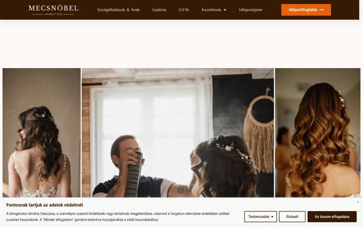 Screenshot of mecsnobel.com