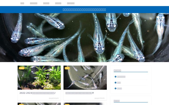 Screenshot of medakado.com