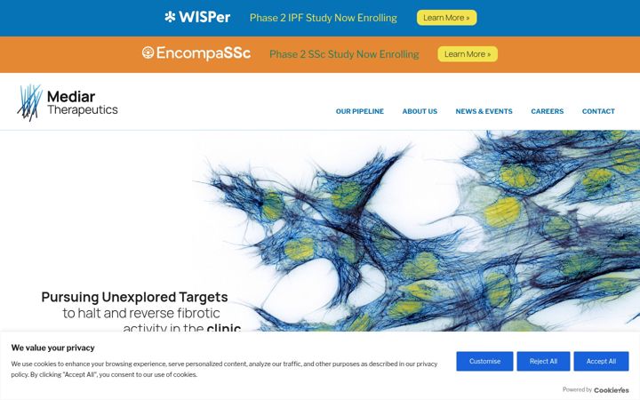 Screenshot of mediartx.com