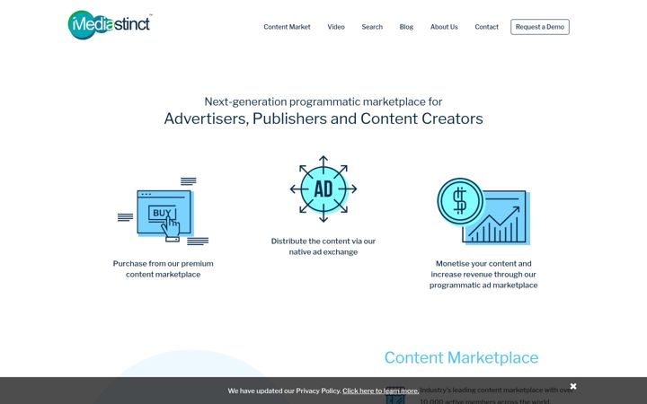 Zrzut ekranu mediastinct.com