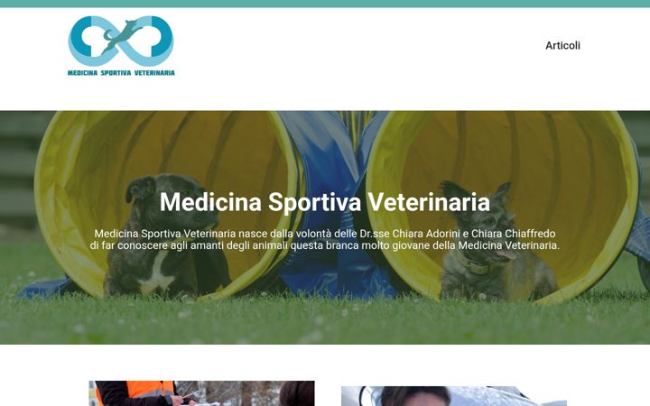 Screenshot of medicinasportivaveterinaria.com